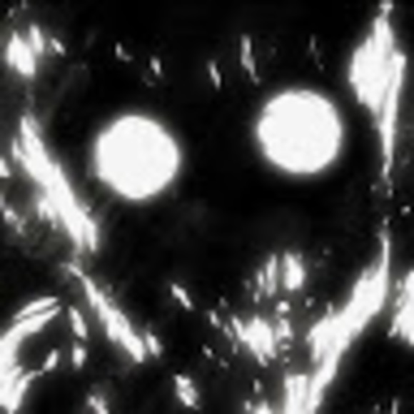 Meet your Posher, Sollie - Picture 1 of 1